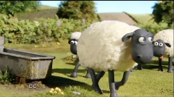 بره ناقلا (اگه نمیتونی گرما رو تحمل کنی)